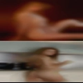 Pussy Altoona