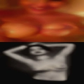 Pussy needed soon