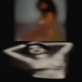 Single pussy Lexington
