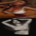 Where pussy Brussels