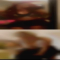 Looking for pussy Novi