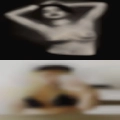 Pussy that wants North