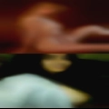 Sexy world and naked girls