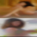 Pussy Forest