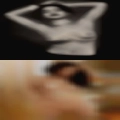 Pussy Longview