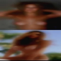 Pussy Blossom