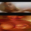 Pussy Iva