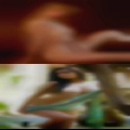 Women looking for their pussy