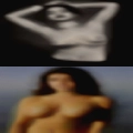 Adults enjoy horny sex park