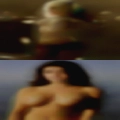 Pussy 23503