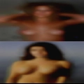Pussy 77095 area